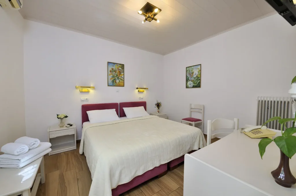 budget room athens double 119 Orion & Dryades Hotel in Athens