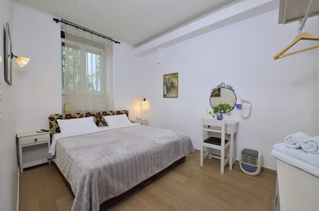 budget room athens double 230 Orion & Dryades Hotel in Athens