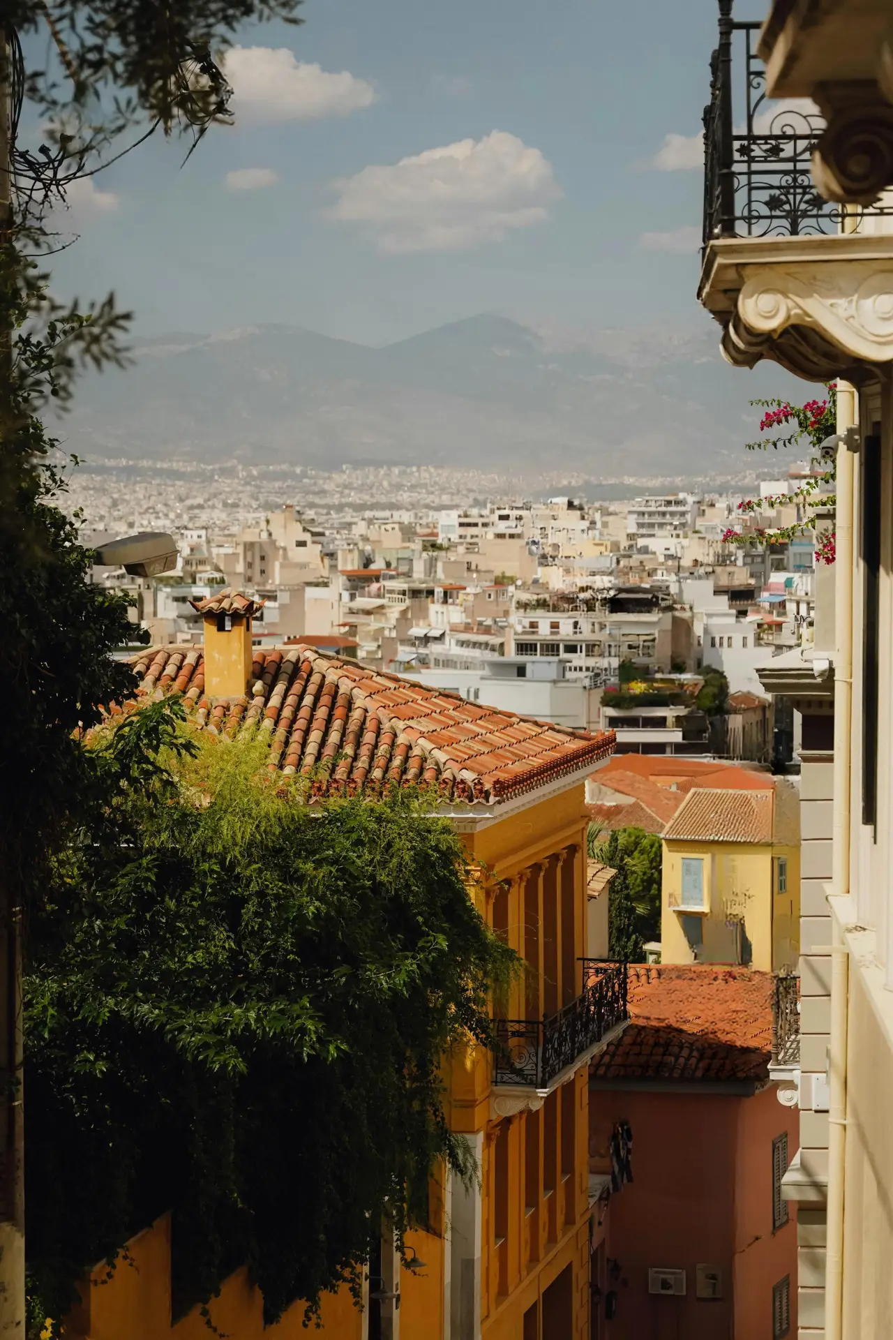 orion athens hotel in athens,ξενοδοχειο αθηνα,ξενοδοχείο στην αθήνα,athens hotel,ξενοδοχειο αθηνα κεντρο Orion & Dryades Hotel in Athens